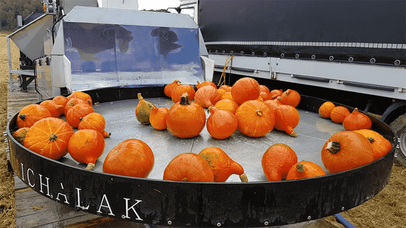 images/1771926521767Medium Pumpkin Weight Grading Machine.png